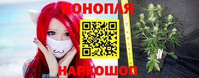 дживик Берёзовский