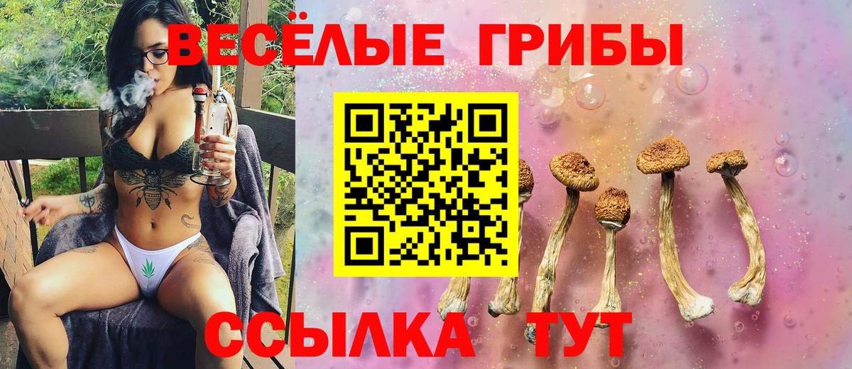 Галлюциногенные грибы прущие грибы Кизилюрт