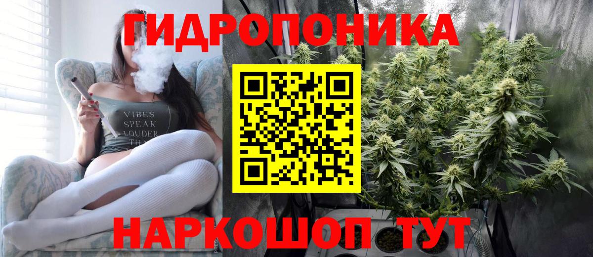 Бошки Шишки LSD WEED  Конопля сатива  Кизилюрт  Вход с VPN  Бошки марихуана сатива  Канабис конопля 